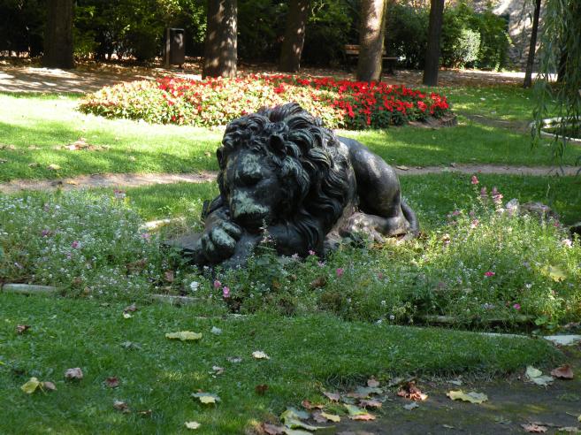 lion